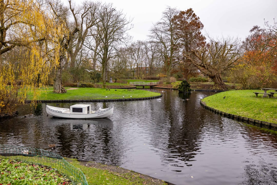 Foto 47 van Salverdastraat 13