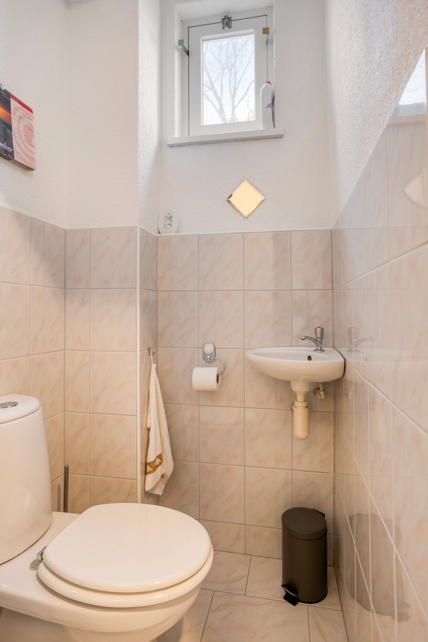 Foto 5 van Coeshoeck 21