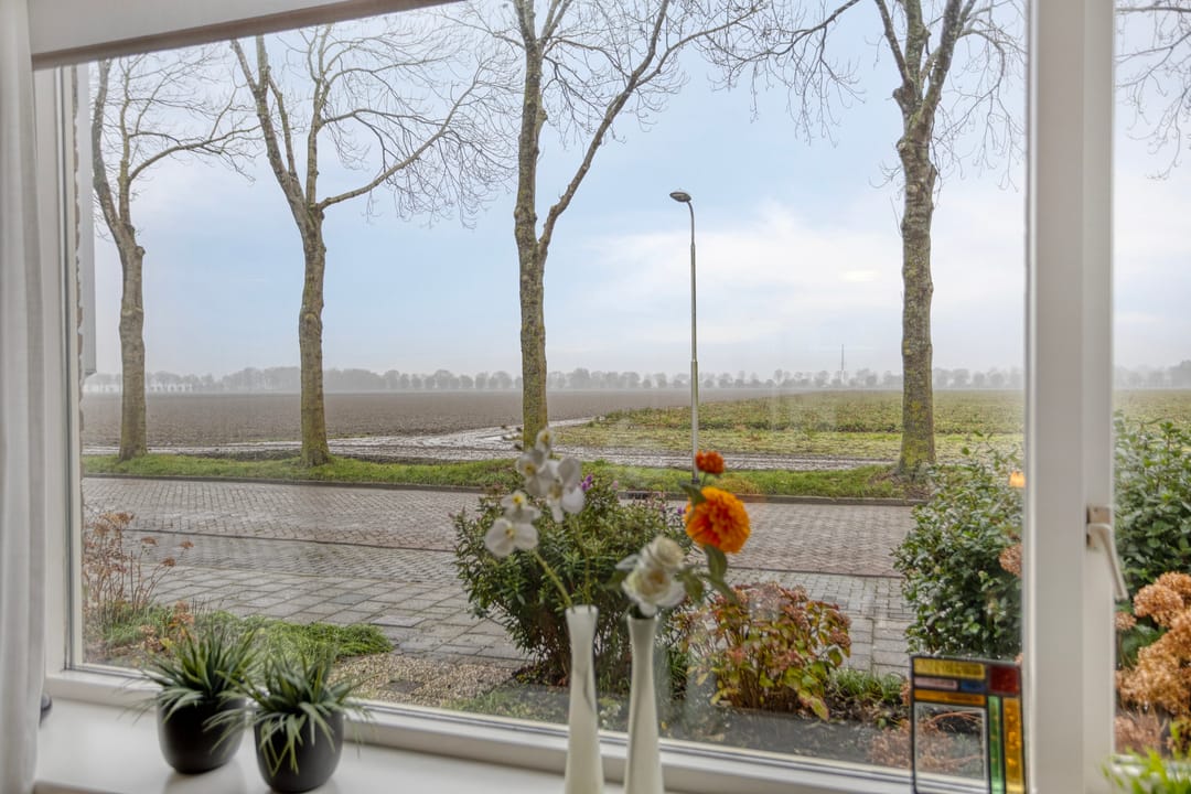 Foto 7 van Coeshoeck 21