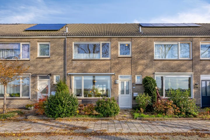 Photo 29 of Coeshoeck 21