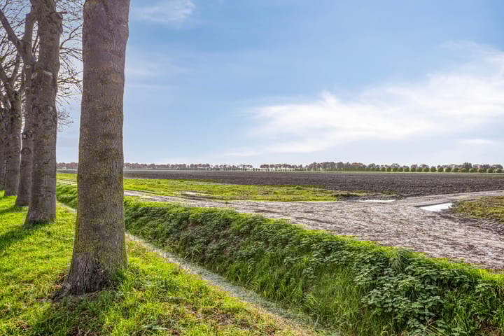 Photo 32 of Coeshoeck 21