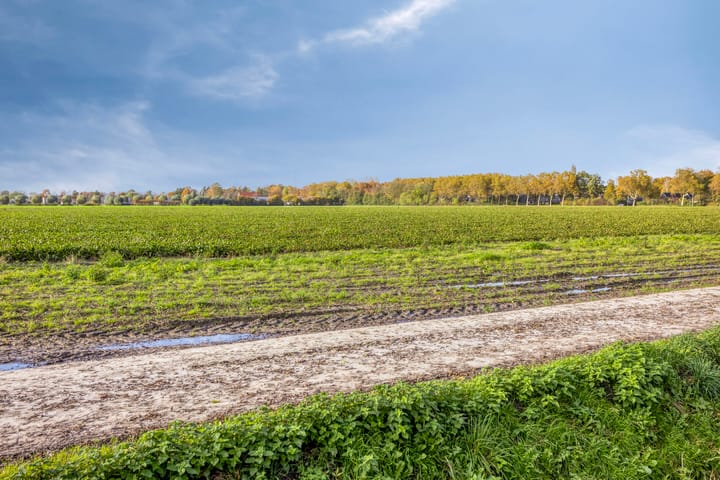 Photo 33 of Coeshoeck 21