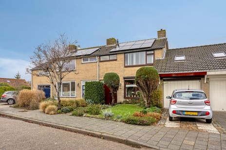 Valeriusstraat thumbnail