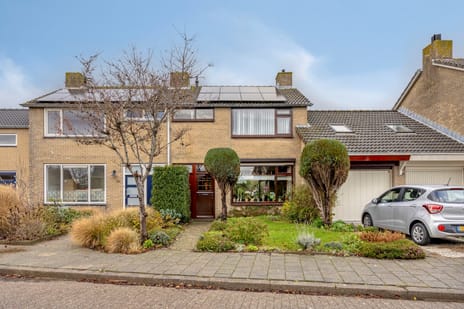 Valeriusstraat thumbnail