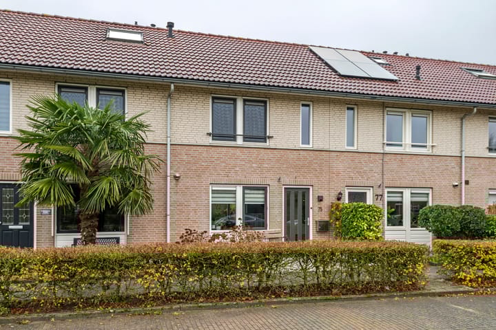 A.H.H. Tolhuisenstraat 75