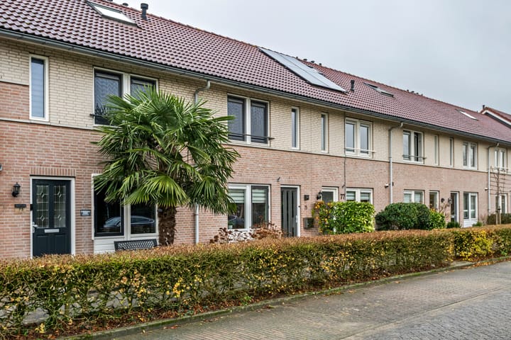 Photo 2 of A.H.H. Tolhuisenstraat 75