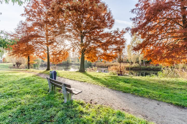 Photo 34 of Schaapsloopven 43