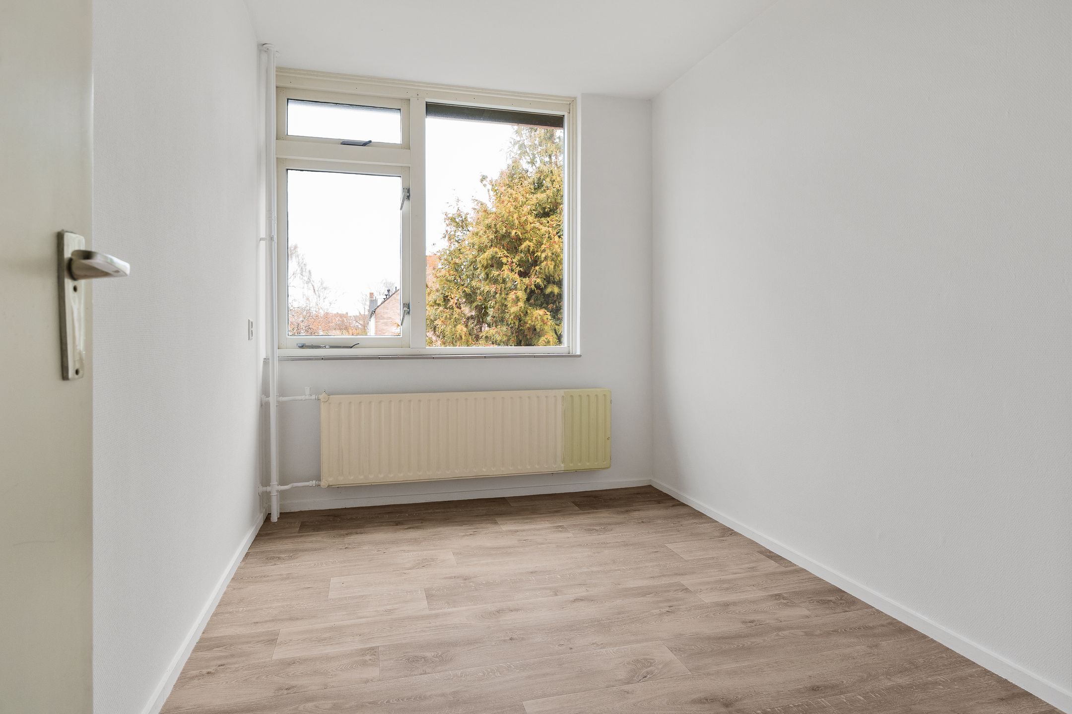 Foto 12 van Haydnstraat 6