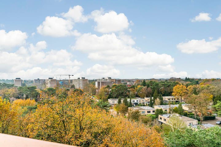 Foto 34 van Bosuillaan 75