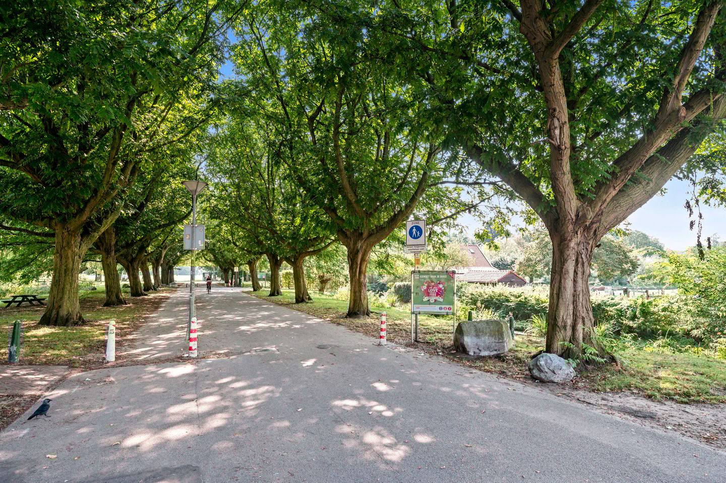 Foto 35 van Renswoudelaan 73