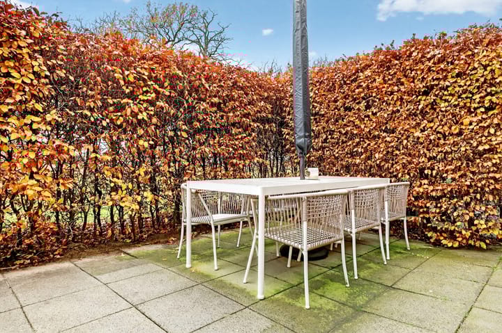 Foto 28 van Grasjuffer 138