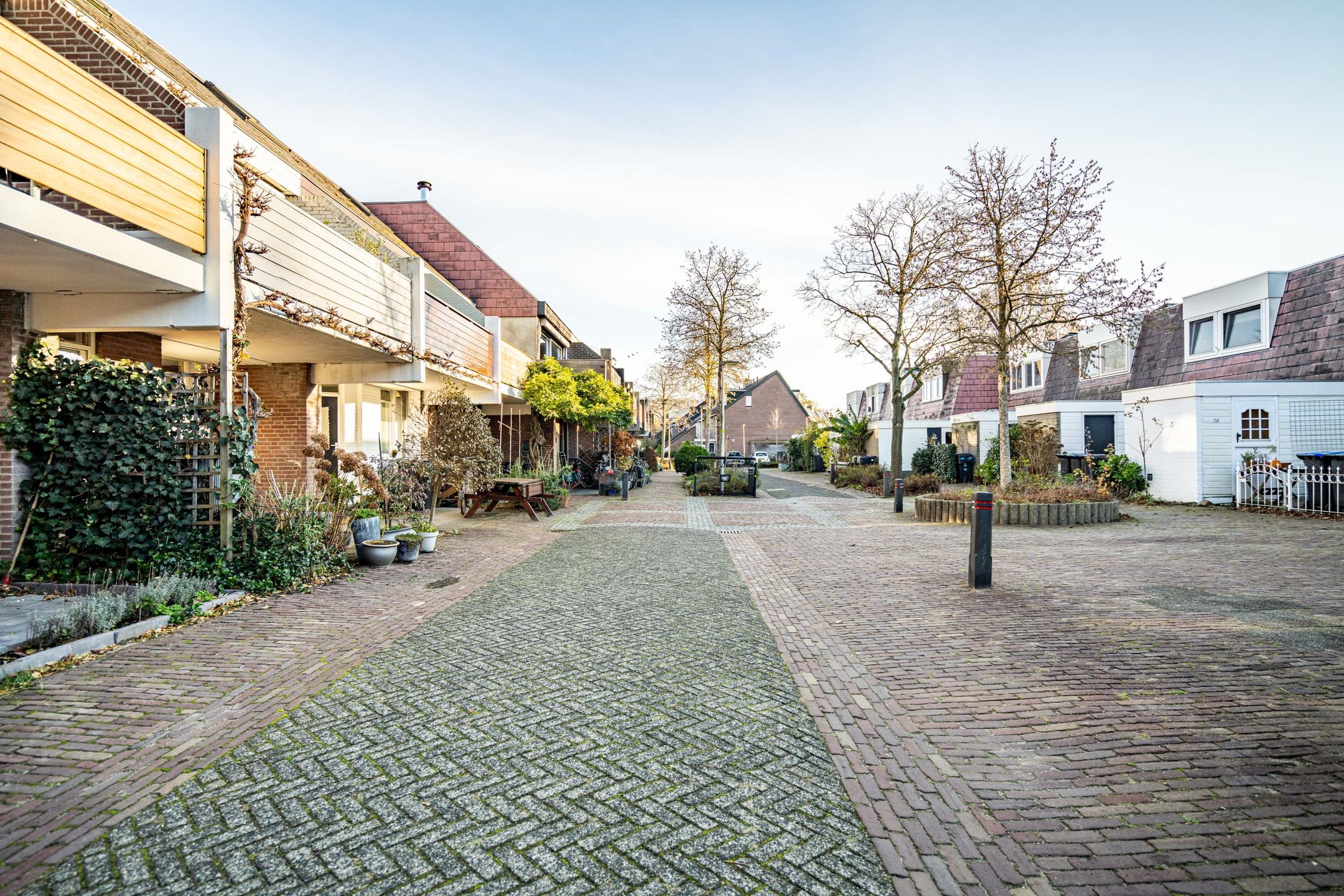 Foto 42 van Boekweitkamp 23
