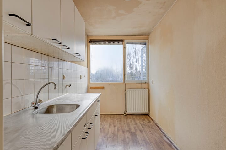 Photo 17 of Veenbes 37