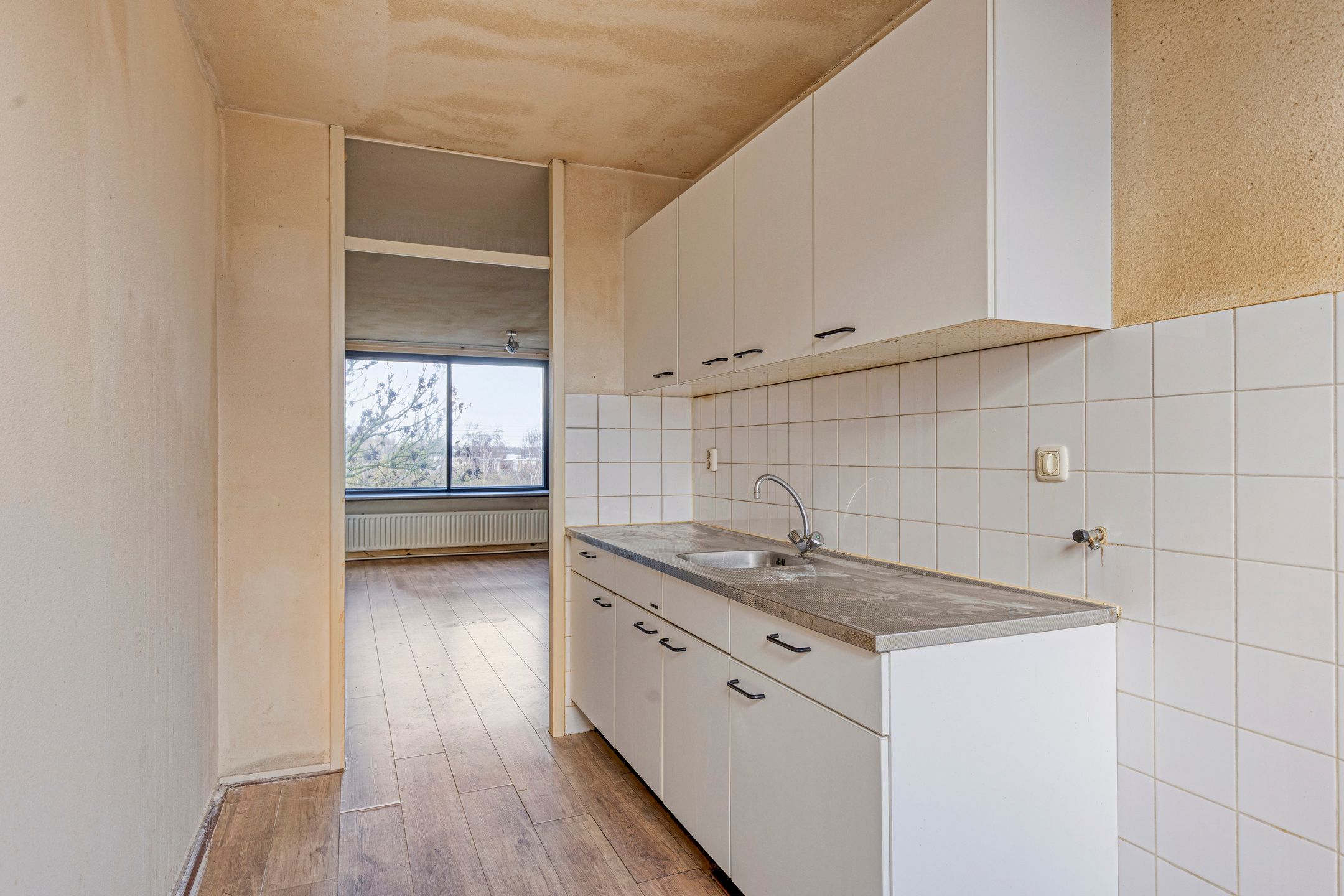 Photo 18 of Veenbes 37