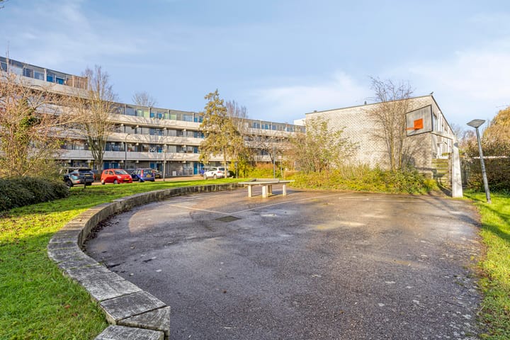 Photo 29 of Veenbes 37