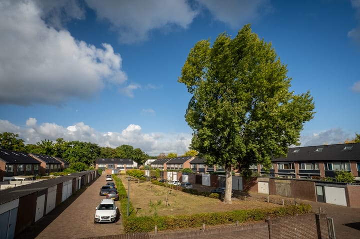 Photo 36 of Moleneindplein 56