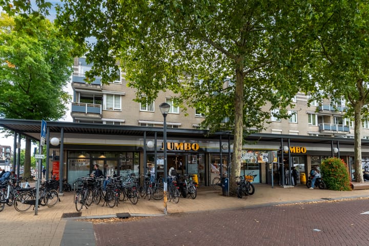 Photo 41 of Moleneindplein 56