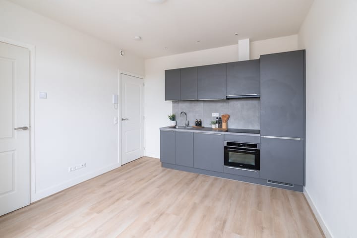 Photo 5 of Rijswijkseweg 211-C