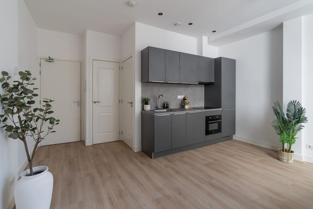 Foto 7 van Rijswijkseweg 213-A