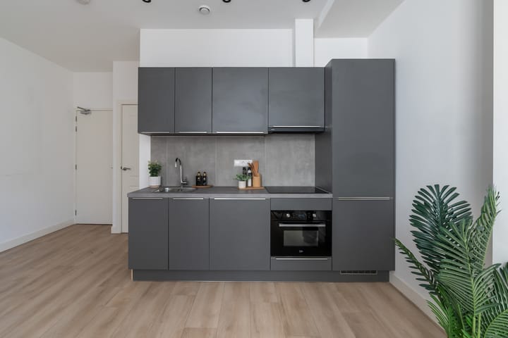 Foto 8 van Rijswijkseweg 213-A