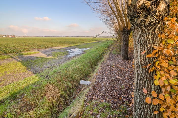 Foto 50 van Maartenstraat 4