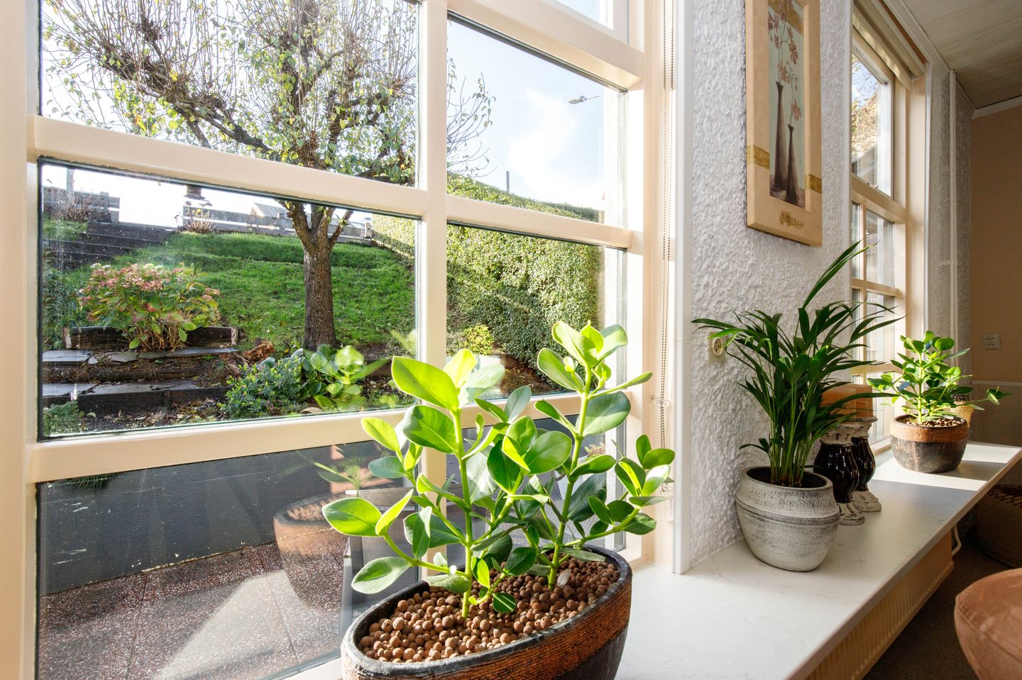 Foto 14 van Middelland 2