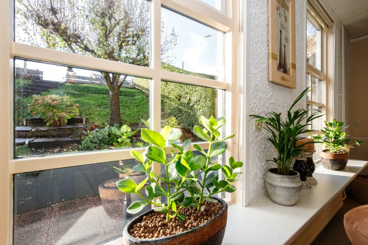 Foto 14 van Middelland 2