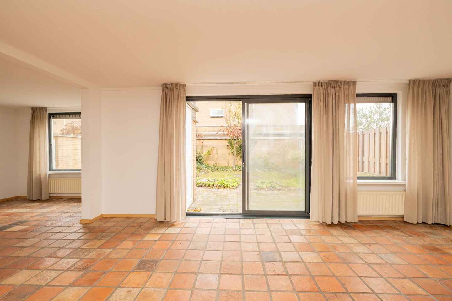 Foto 10 van Korenbloem 11