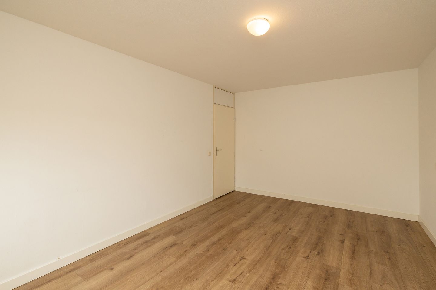 Foto 20 van Korenbloem 11