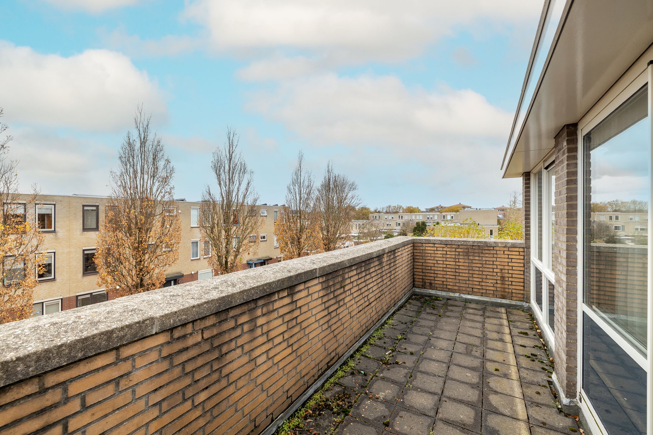 Foto 30 van Korenbloem 11