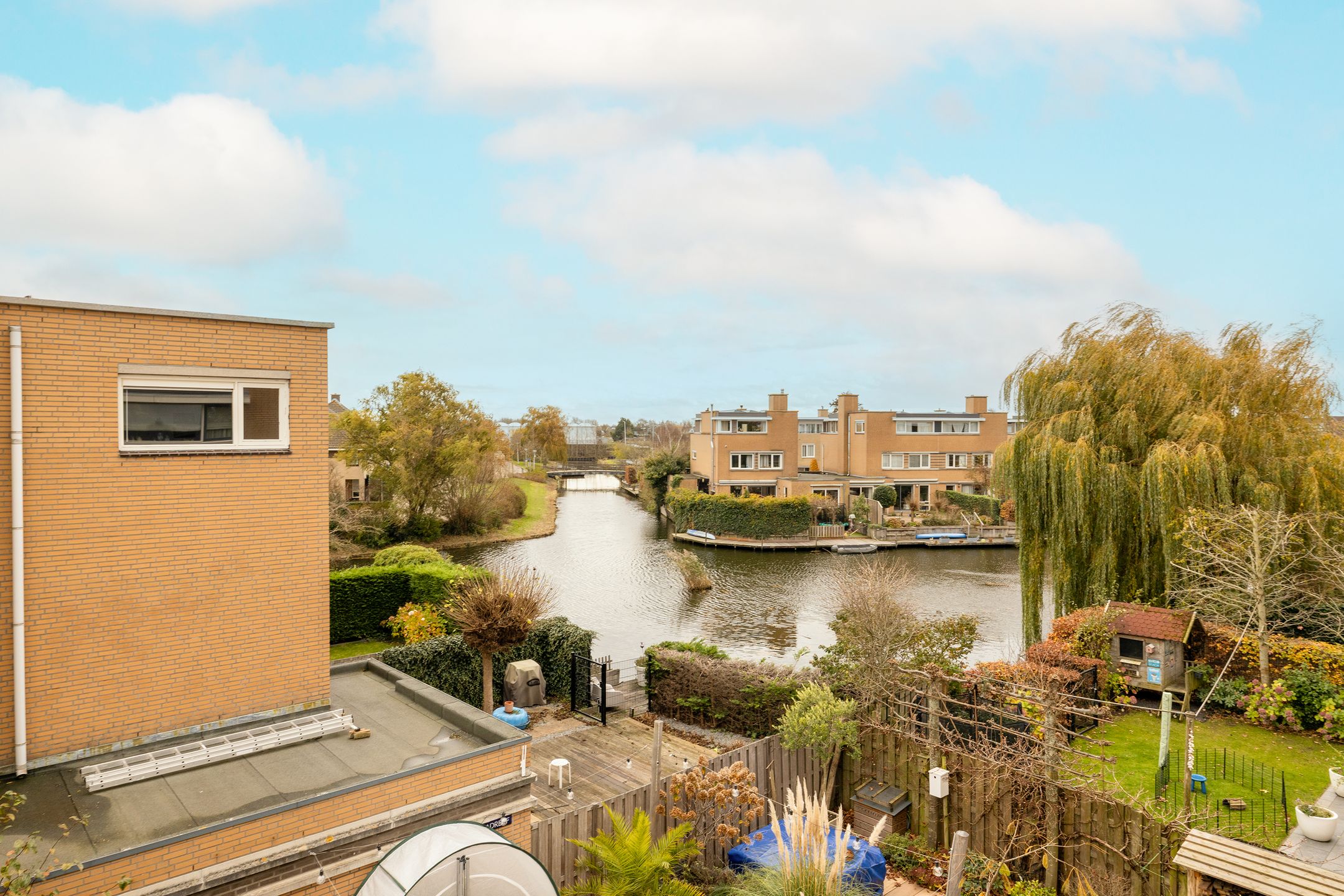 Foto 36 van Korenbloem 11