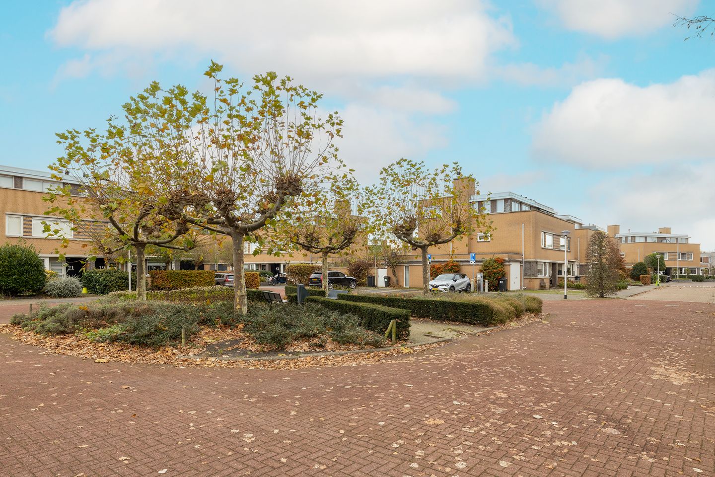 Foto 44 van Korenbloem 11