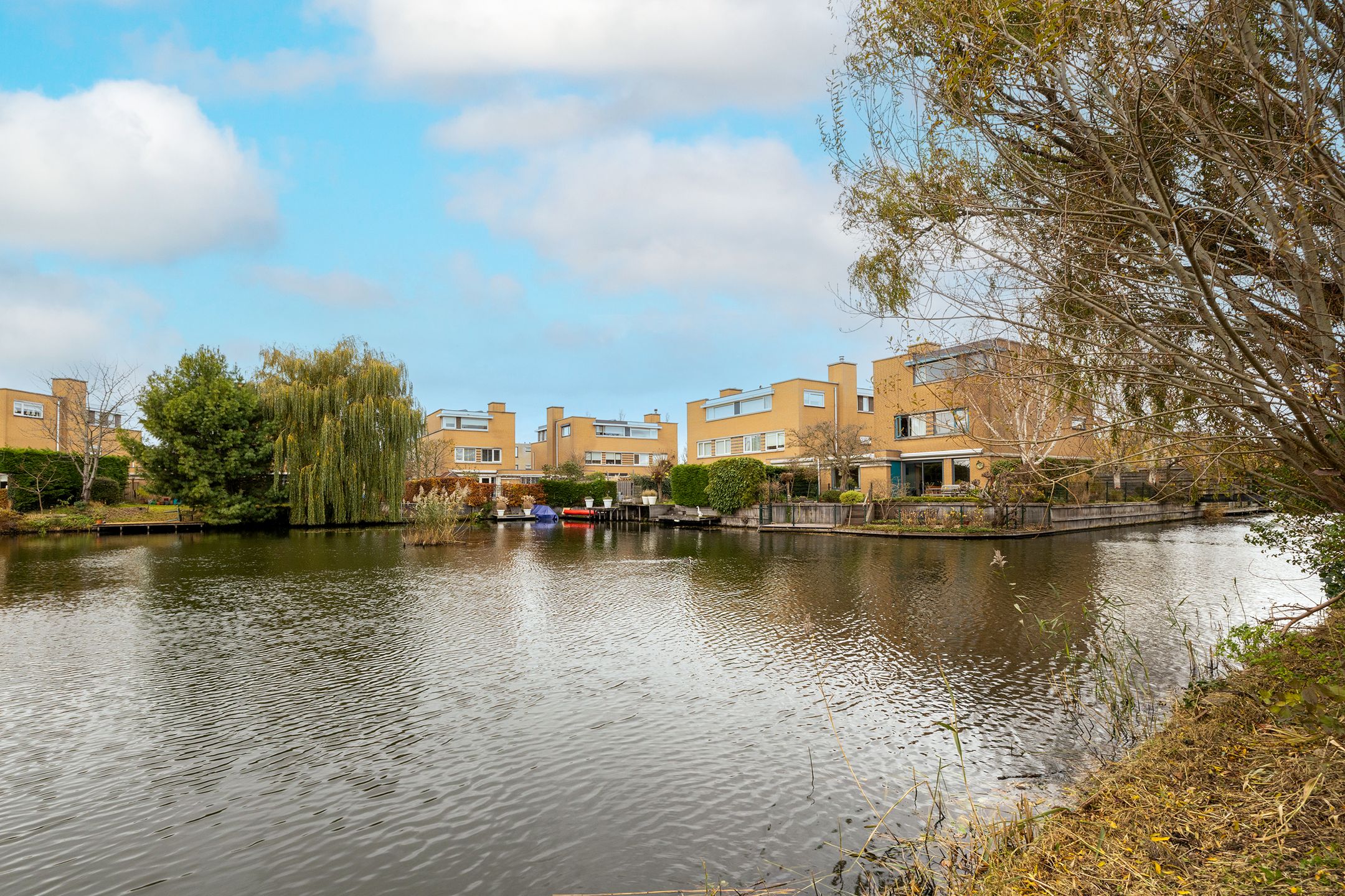 Foto 45 van Korenbloem 11