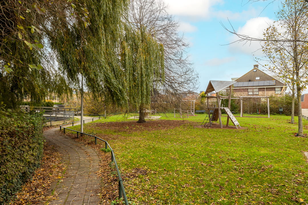 Foto 46 van Korenbloem 11