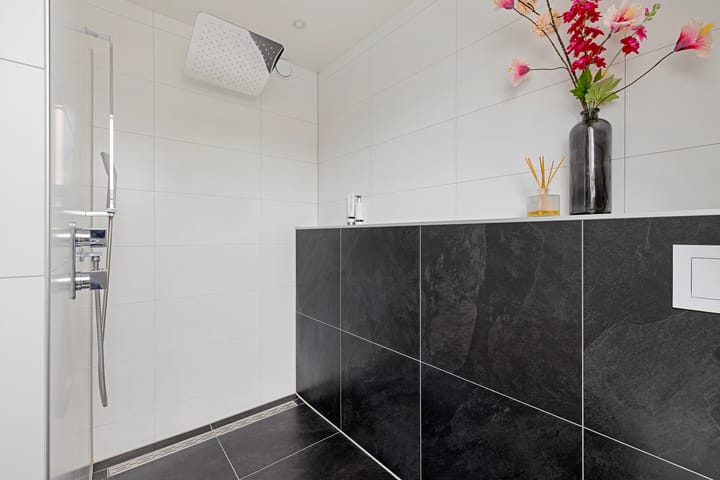 Photo 32 of Karper 58