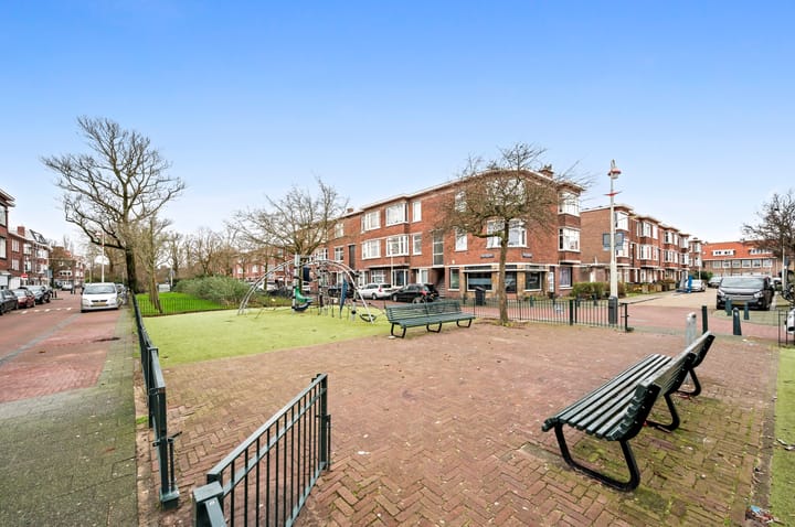 Foto 43 van Haverschmidtstraat 83