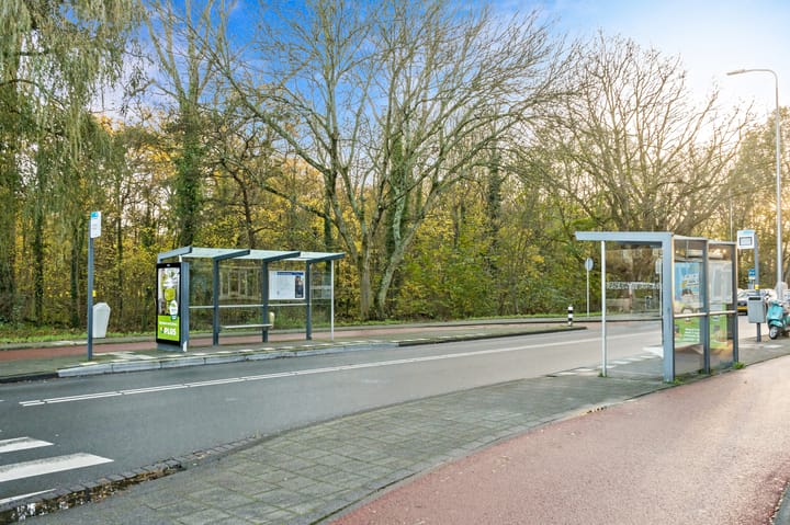 Foto 44 van Haverschmidtstraat 83