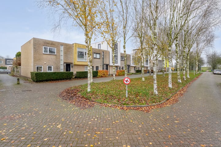 Foto 33 van Rudelsheimmarke 31