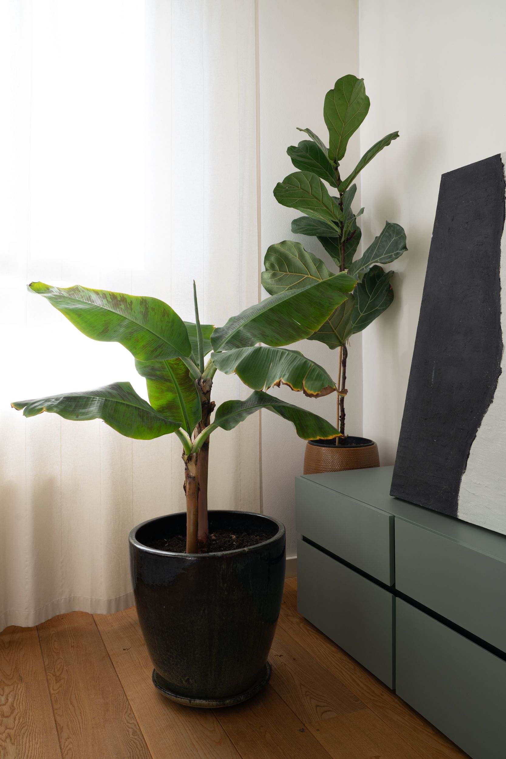 Foto 9 van De Rijpgracht 18-2