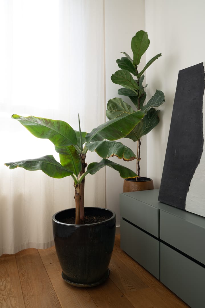 Photo 9 of De Rijpgracht 18-2