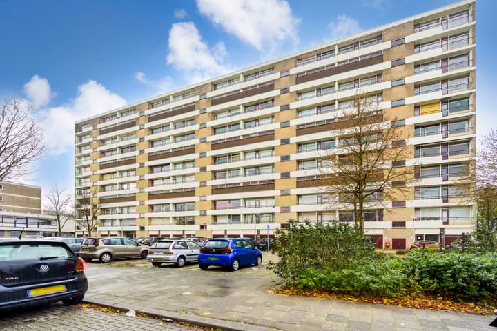 Livingstonelaan 246 main image