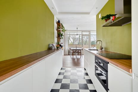 Livingstonelaan 246 tertiary image