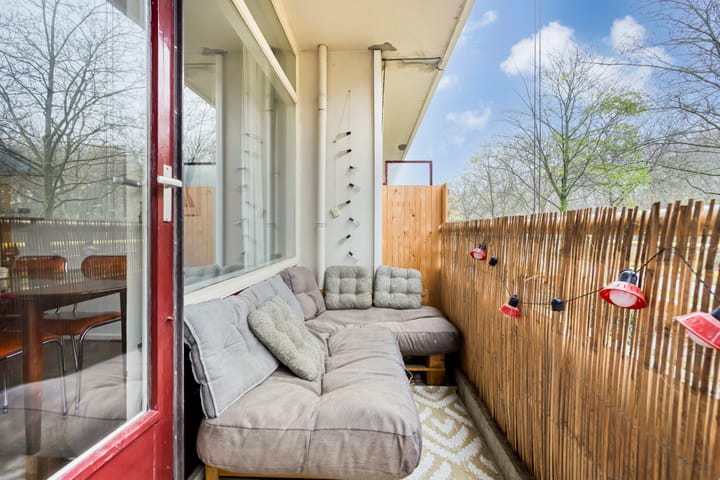 Foto 27 van Livingstonelaan 246