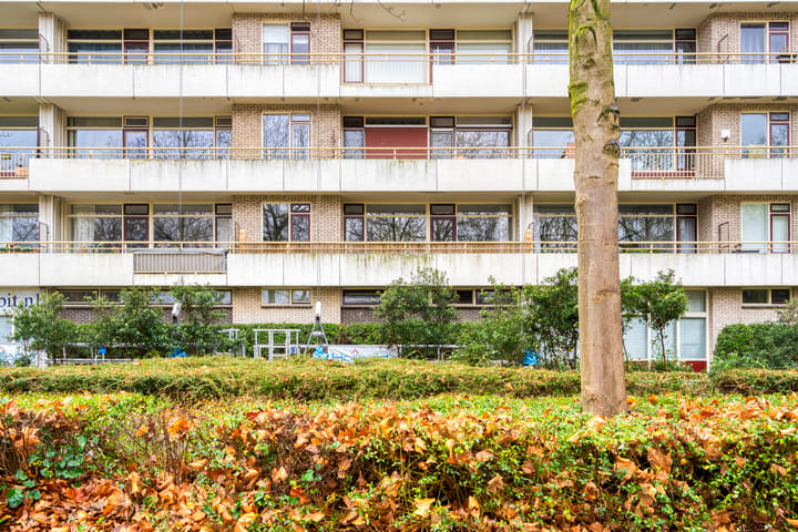 Foto 36 van Livingstonelaan 246