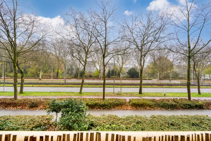 Foto 38 van Livingstonelaan 246