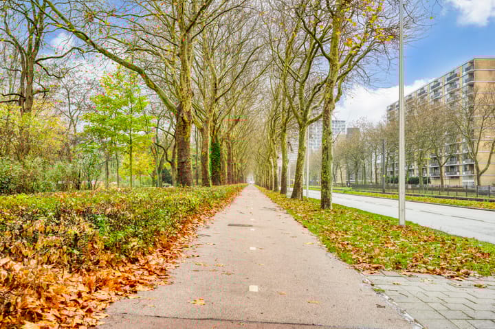 Foto 40 van Livingstonelaan 246