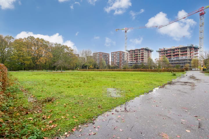 Foto 42 van Livingstonelaan 246