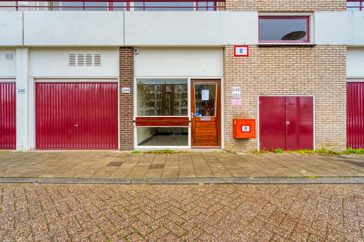 Foto 44 van Livingstonelaan 246