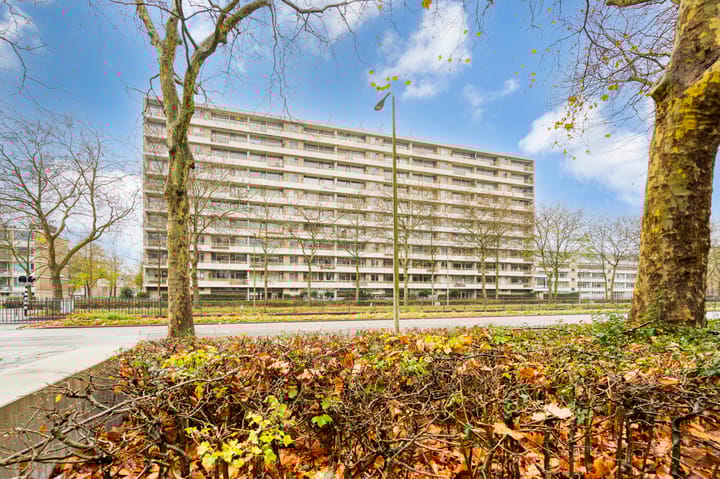 Foto 37 van Livingstonelaan 246