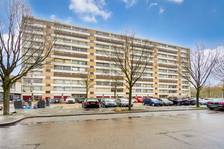 Foto 46 van Livingstonelaan 246